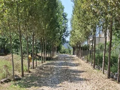 خرید ویلا دوبلکس استخردار با روف روبه جنگل و داخل شهرک 