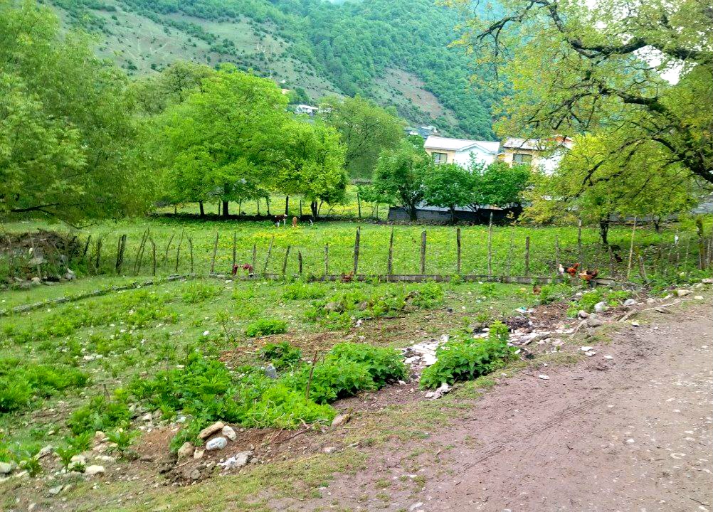 خرید زمین مسکونی داخل بافت و دونبش در روستای ییلاقی واز