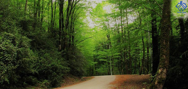 بابل؛ مرکز درمانی و علمی منطقه