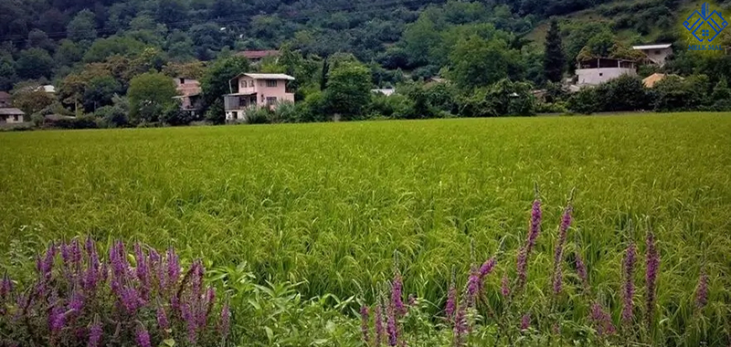 ساری؛ پایتخت، اداری و مجهزترین زیرساخت